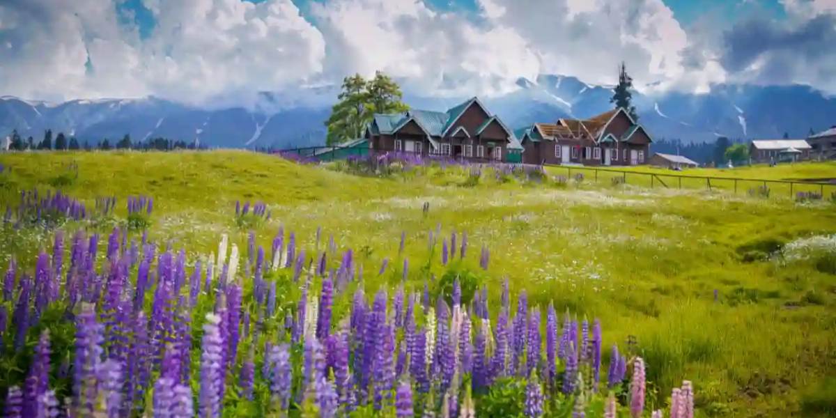 Srinagar with Gulmarg & Pahalgam 6-Day Escape