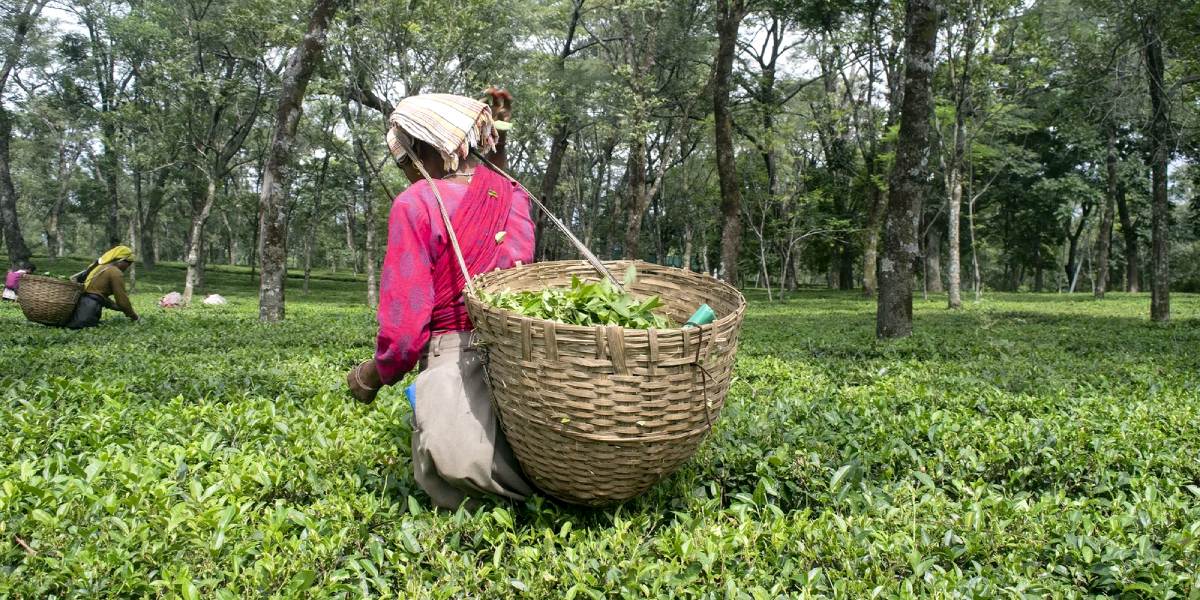 Dharamshala Spiritual Getaway from Chandigarh