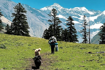 Dalhousie & Dharamshala Getaway from Chandigarh
